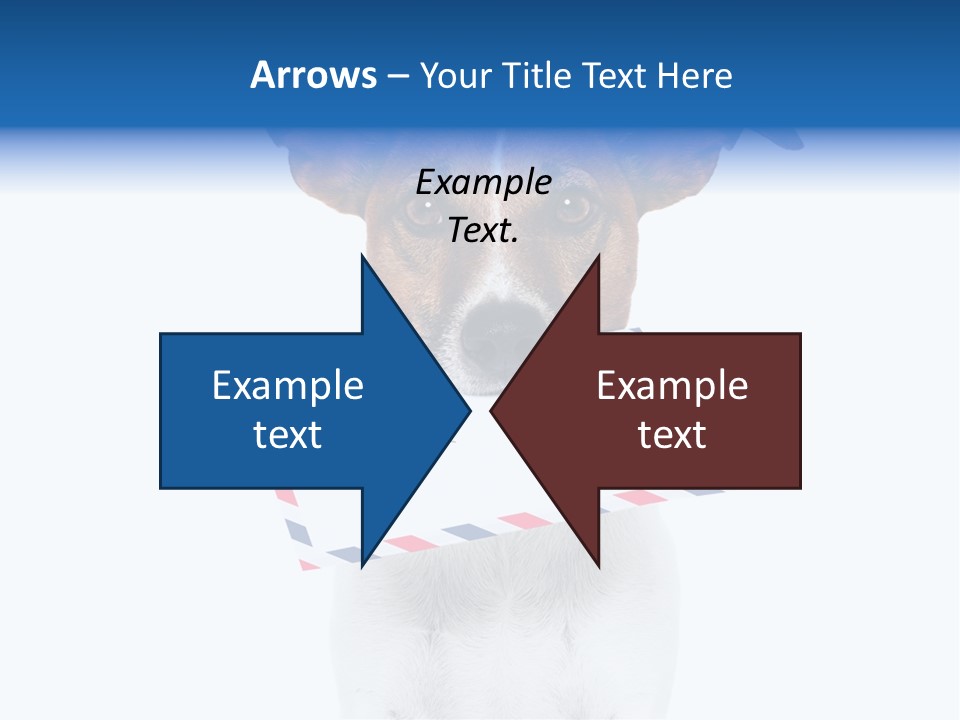 Joke Stamp Funny PowerPoint Template