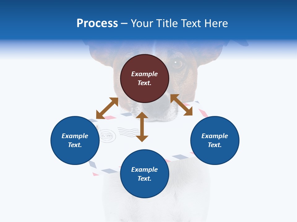 Joke Stamp Funny PowerPoint Template