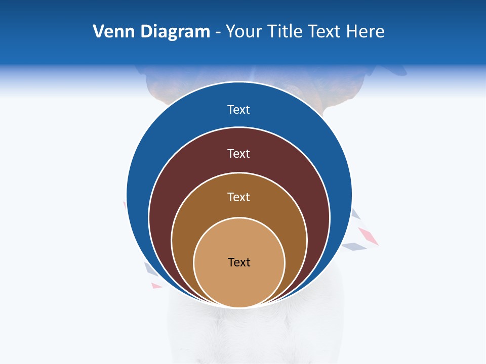 Joke Stamp Funny PowerPoint Template