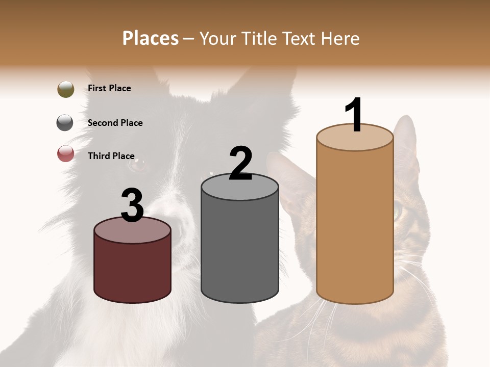 Cat White Front View PowerPoint Template