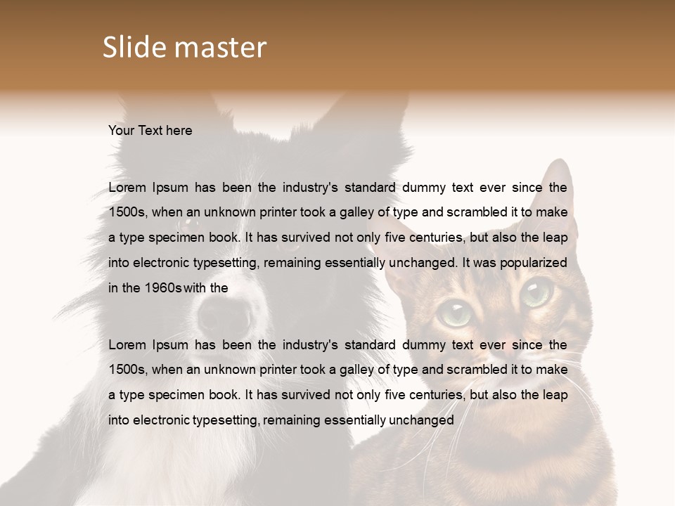 Cat White Front View PowerPoint Template