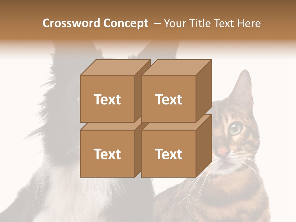 Cat White Front View PowerPoint Template