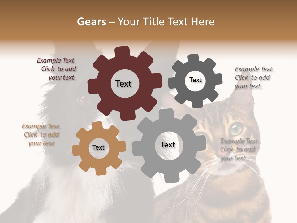 Cat White Front View PowerPoint Template