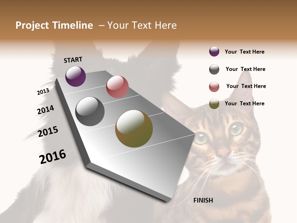 Cat White Front View PowerPoint Template