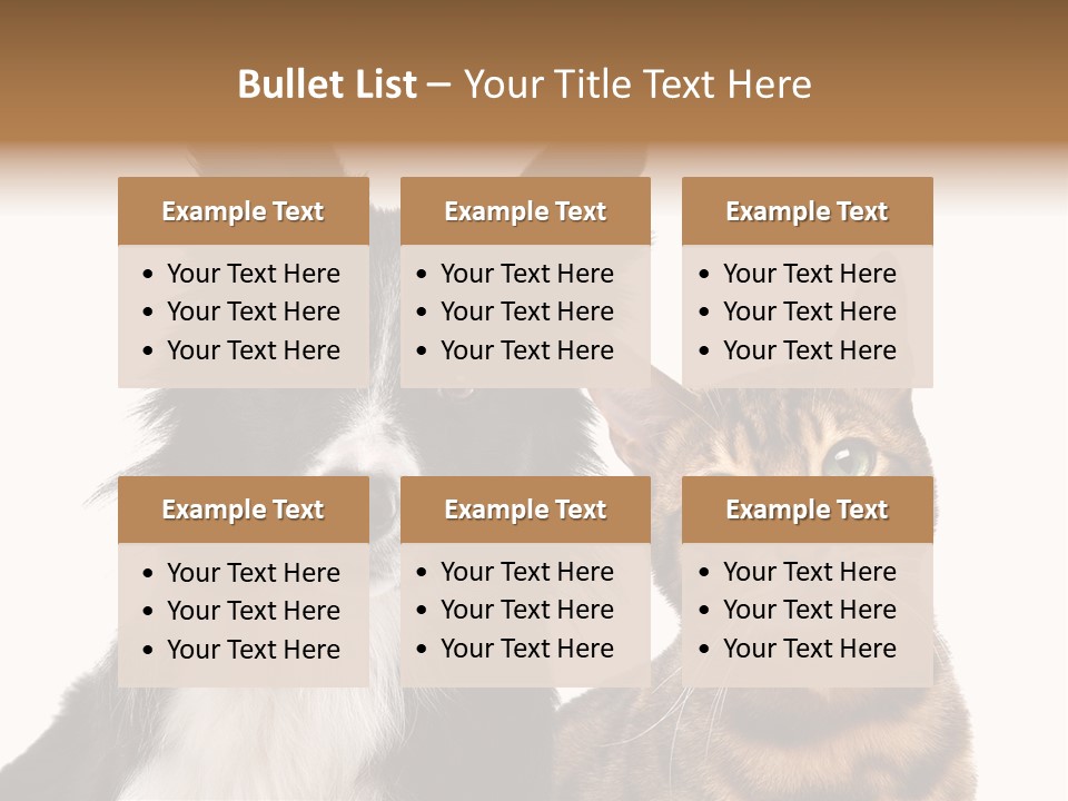 Cat White Front View PowerPoint Template