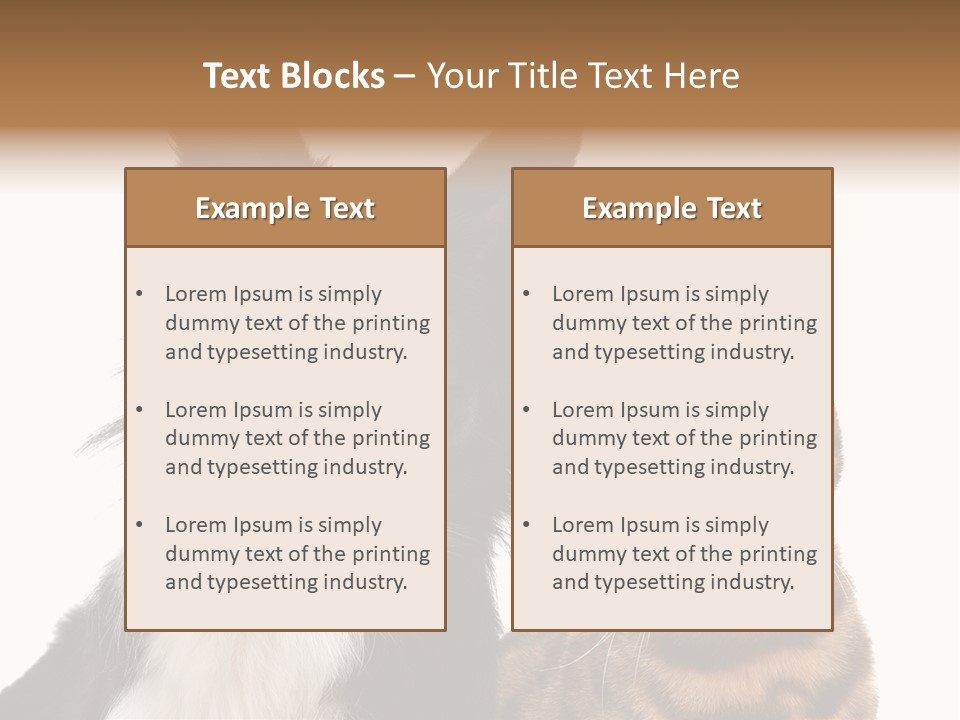 Cat White Front View PowerPoint Template