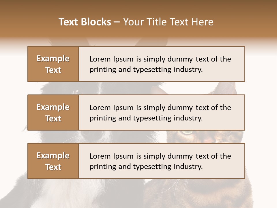 Cat White Front View PowerPoint Template