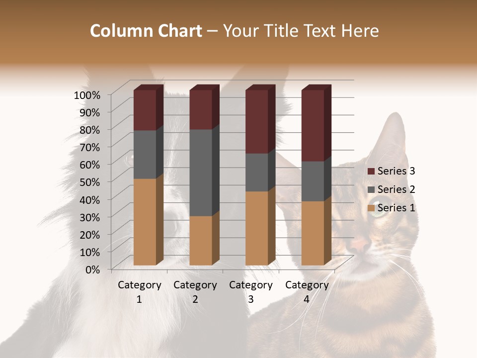 Cat White Front View PowerPoint Template