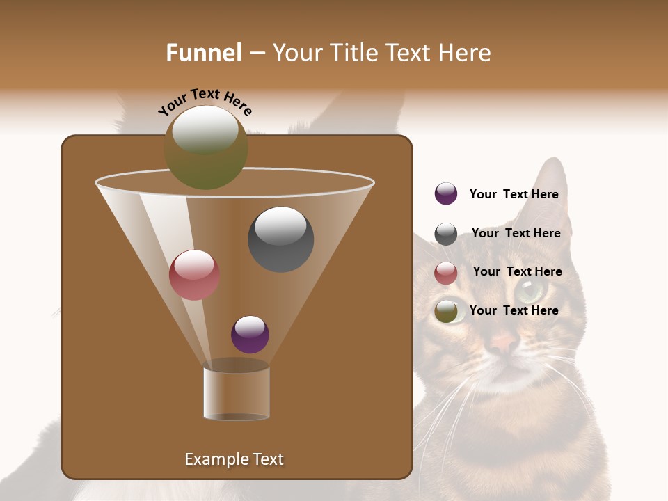 Cat White Front View PowerPoint Template