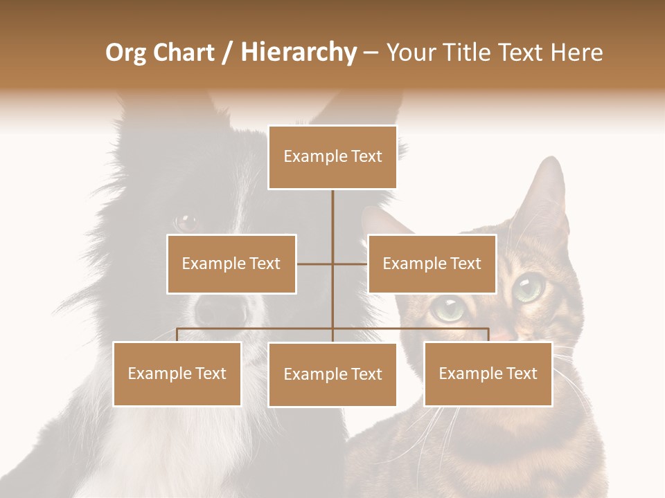 Cat White Front View PowerPoint Template