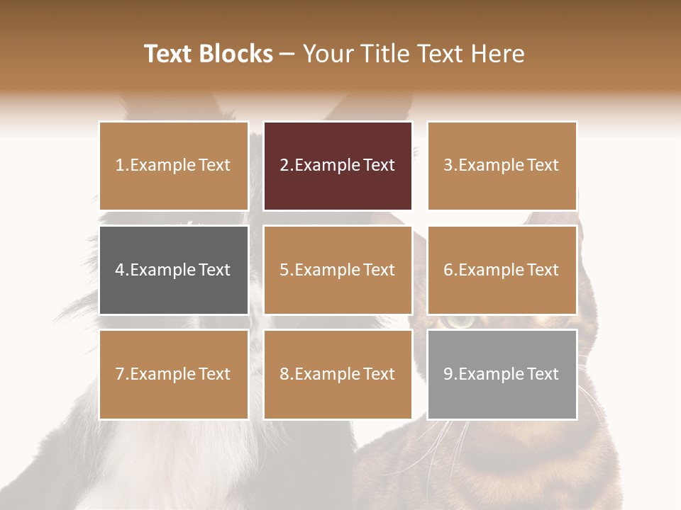 Cat White Front View PowerPoint Template