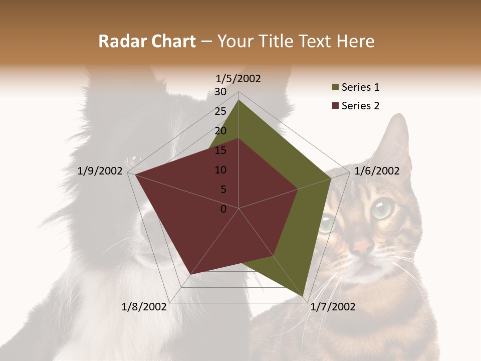 Cat White Front View PowerPoint Template