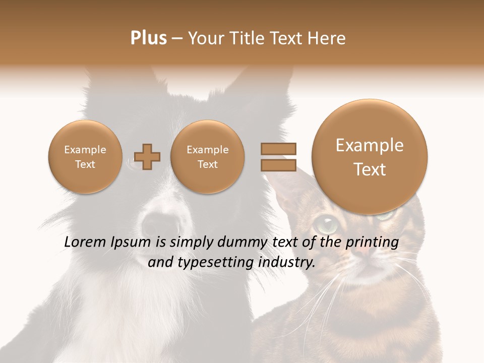 Cat White Front View PowerPoint Template