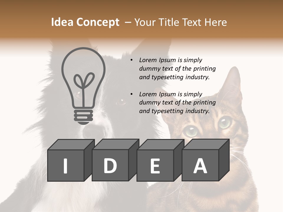 Cat White Front View PowerPoint Template