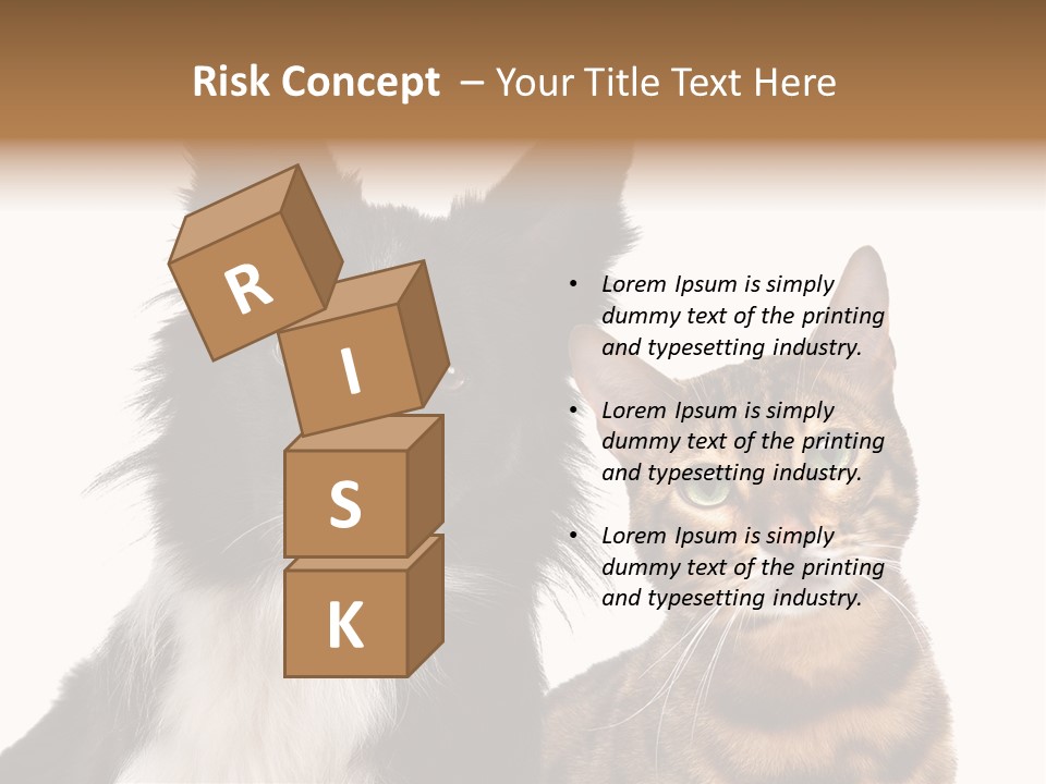 Cat White Front View PowerPoint Template