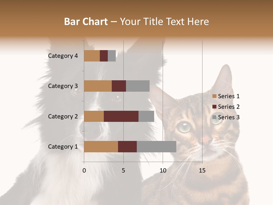 Cat White Front View PowerPoint Template