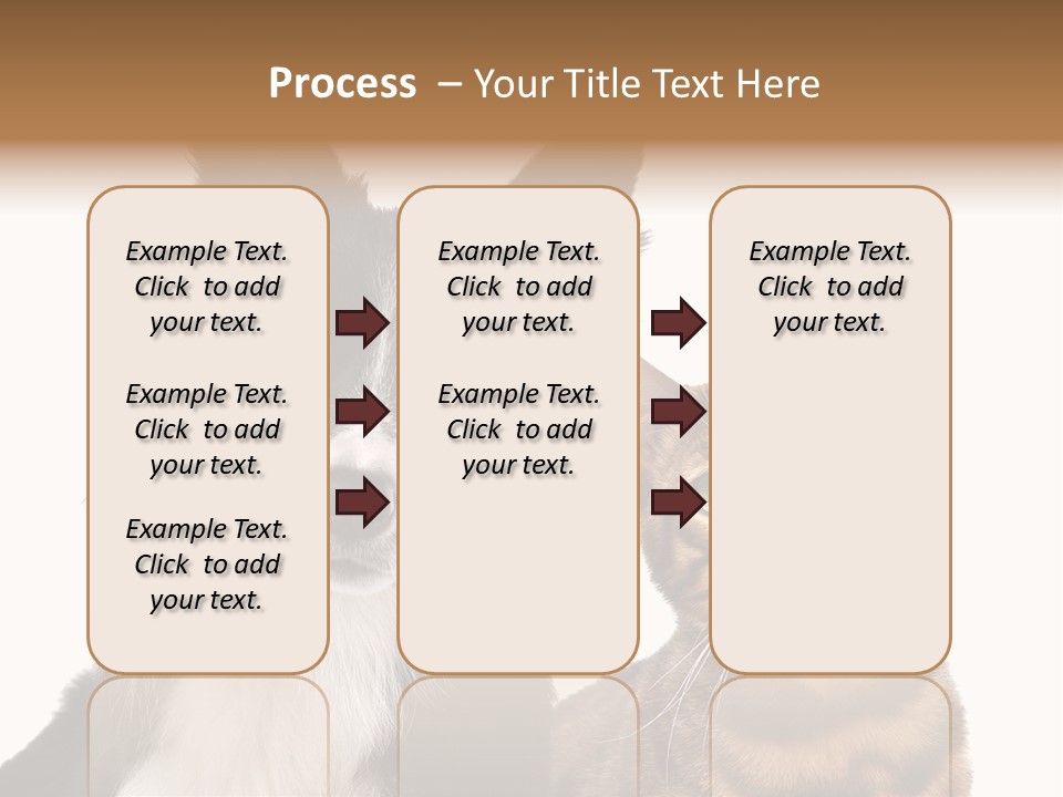 Cat White Front View PowerPoint Template