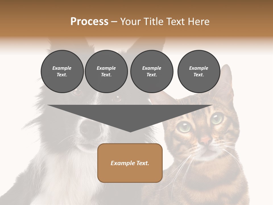 Cat White Front View PowerPoint Template