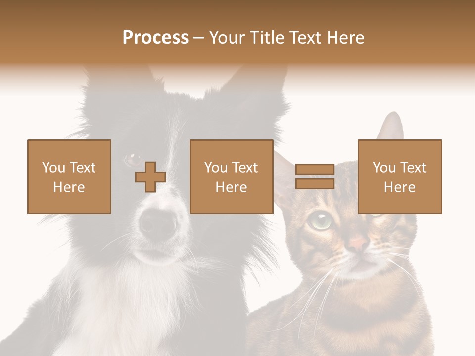 Cat White Front View PowerPoint Template