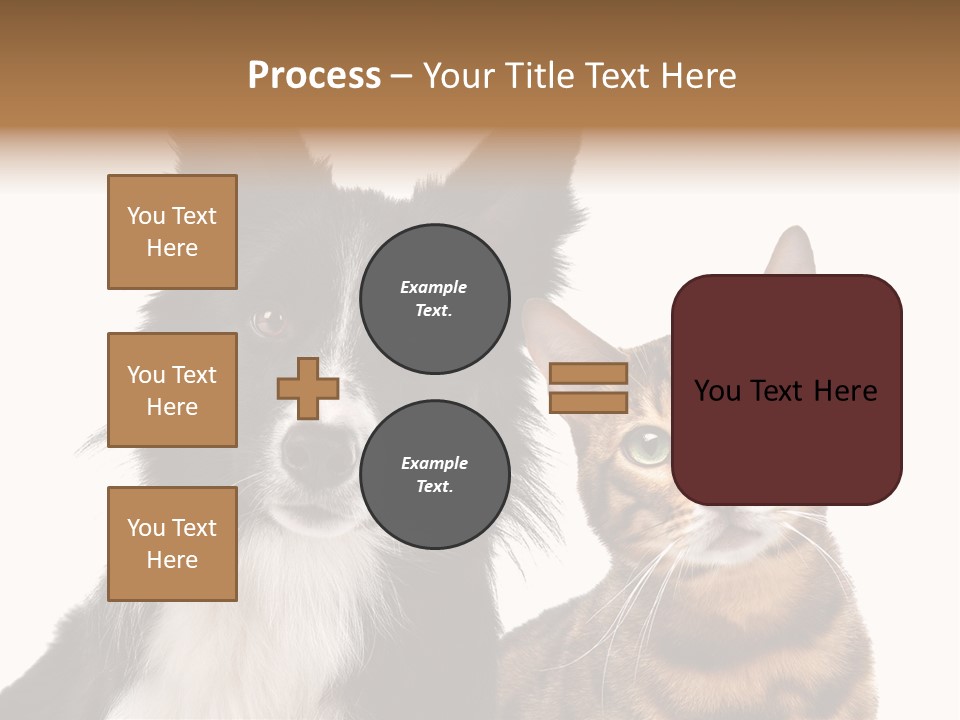 Cat White Front View PowerPoint Template