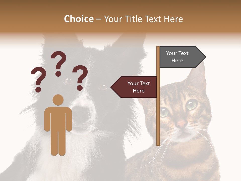 Cat White Front View PowerPoint Template