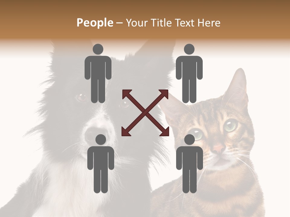 Cat White Front View PowerPoint Template