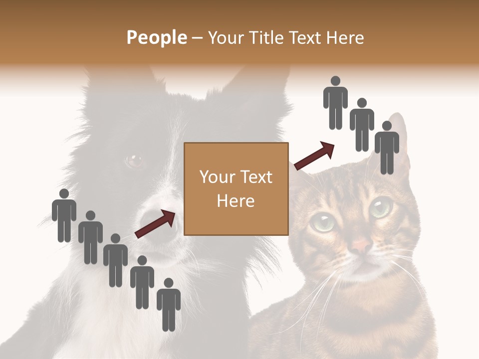 Cat White Front View PowerPoint Template