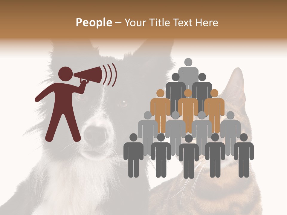 Cat White Front View PowerPoint Template