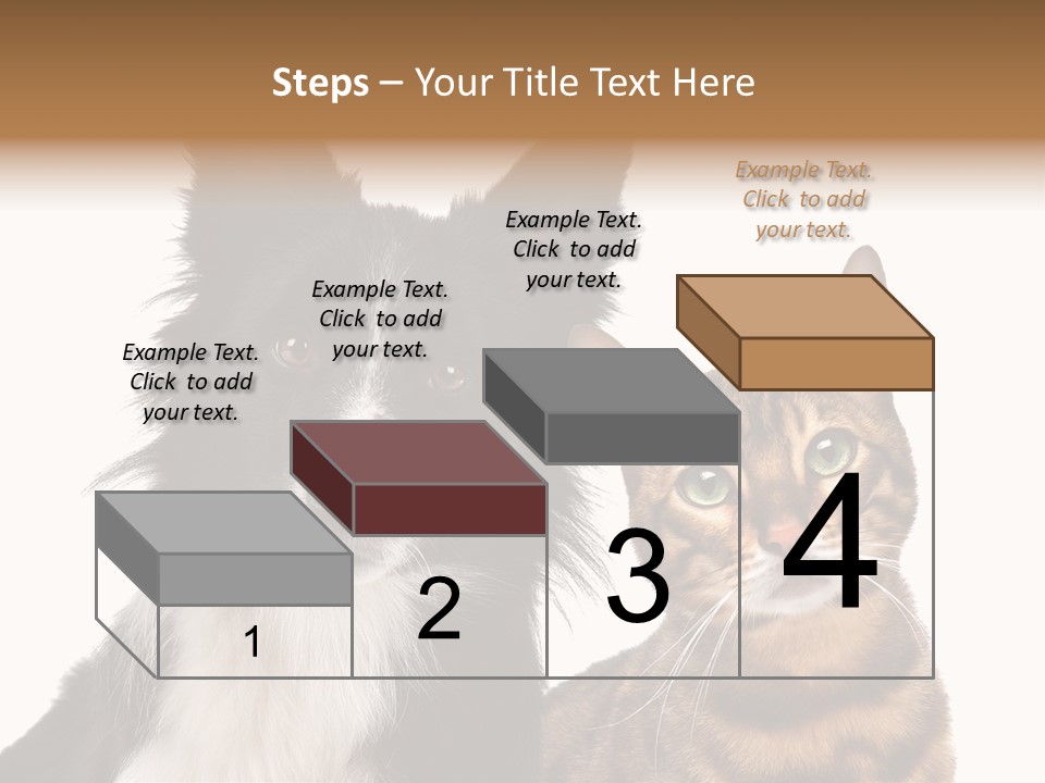 Cat White Front View PowerPoint Template