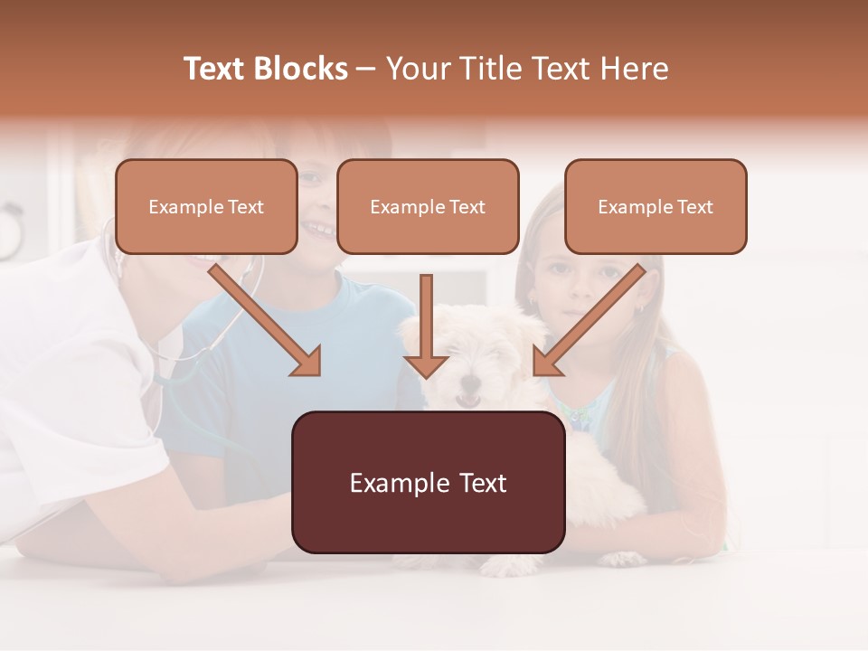 Check Medical Occupation PowerPoint Template