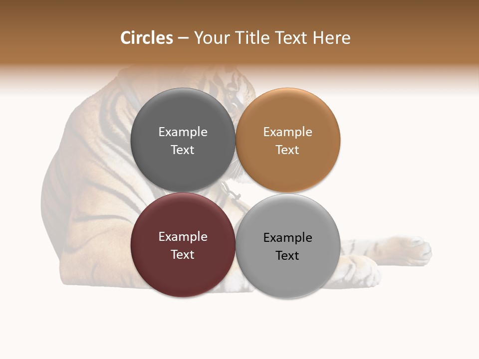 Color Siberian Wildlife PowerPoint Template