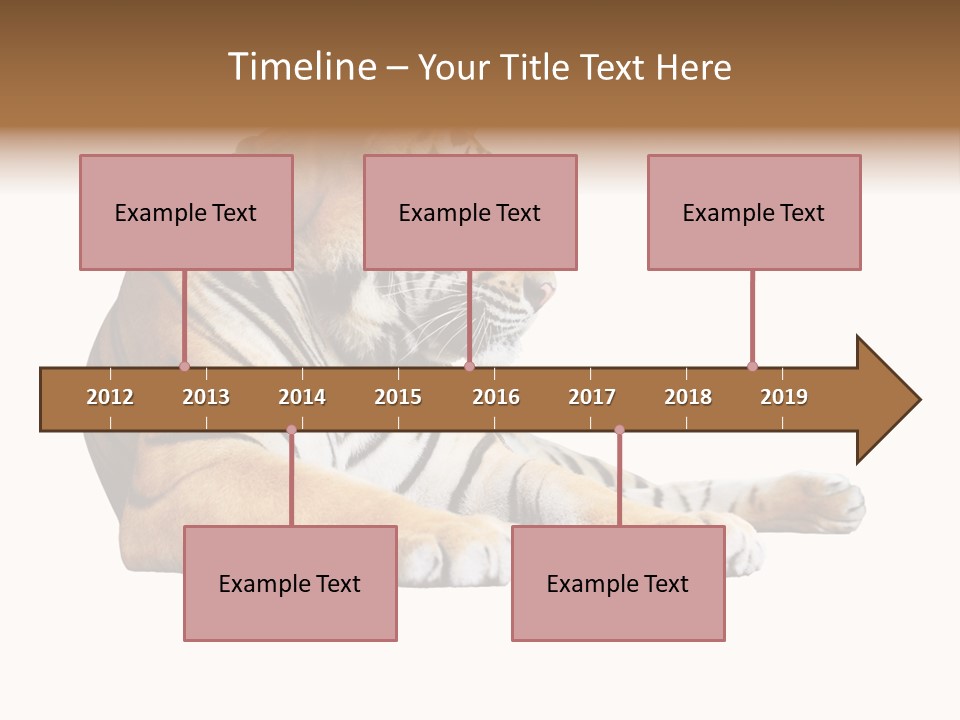 Color Siberian Wildlife PowerPoint Template