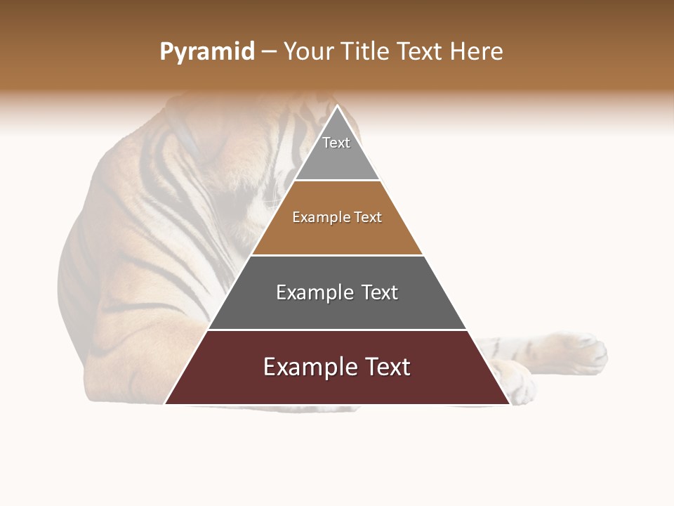 Color Siberian Wildlife PowerPoint Template