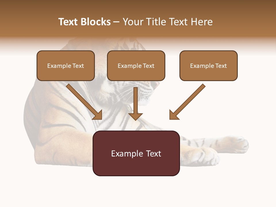 Color Siberian Wildlife PowerPoint Template