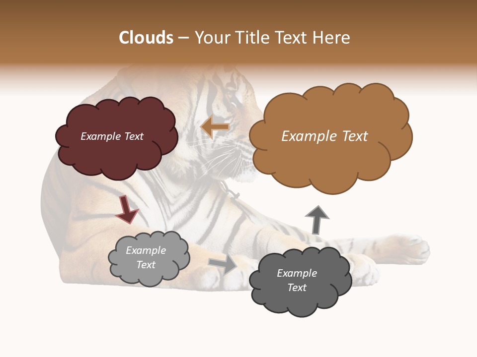 Color Siberian Wildlife PowerPoint Template