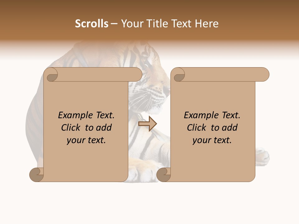 Color Siberian Wildlife PowerPoint Template