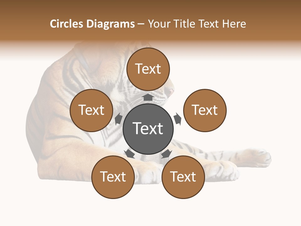 Color Siberian Wildlife PowerPoint Template