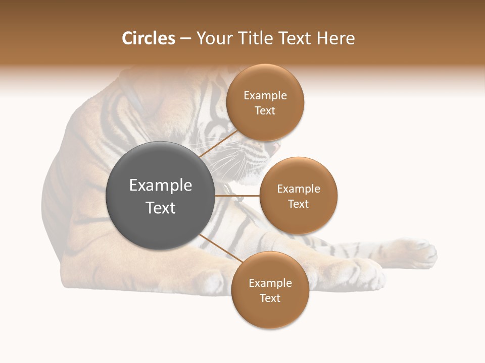 Color Siberian Wildlife PowerPoint Template