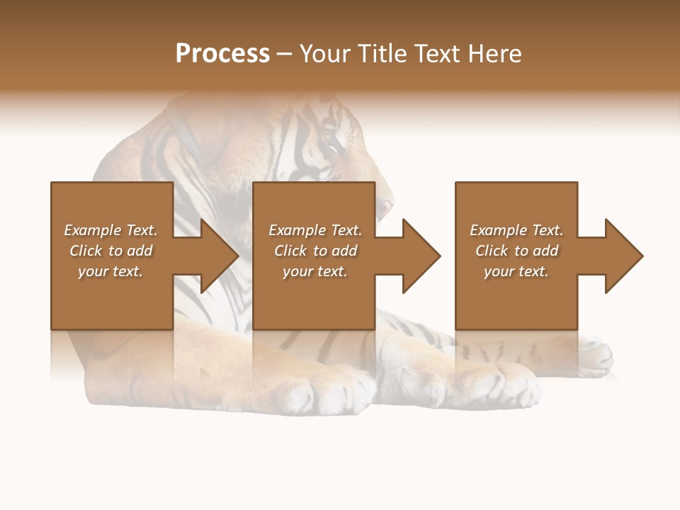 Color Siberian Wildlife PowerPoint Template