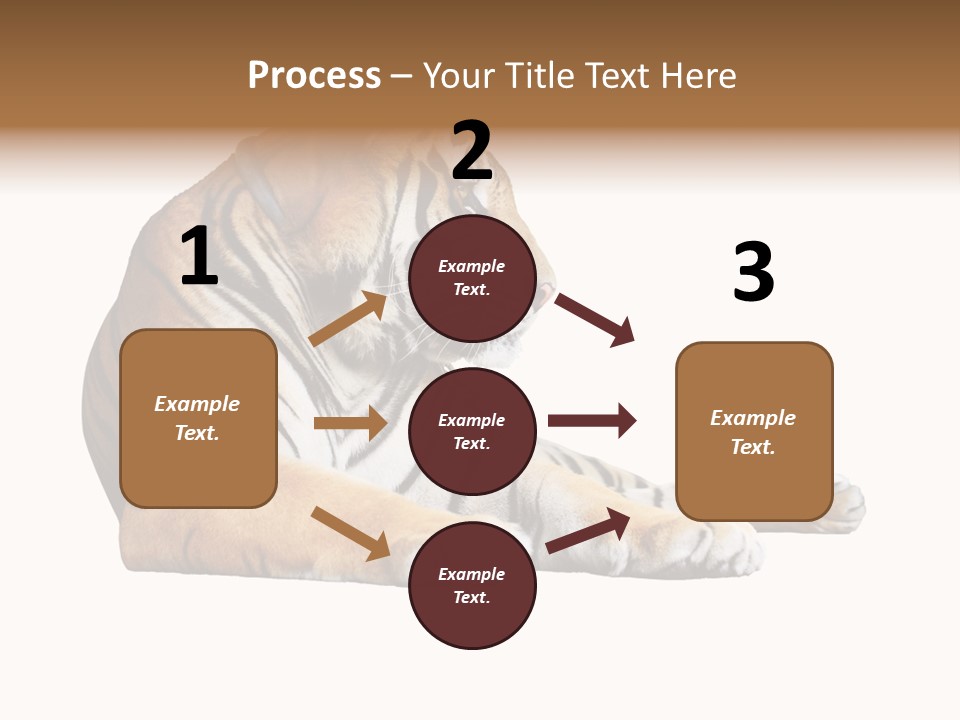 Color Siberian Wildlife PowerPoint Template