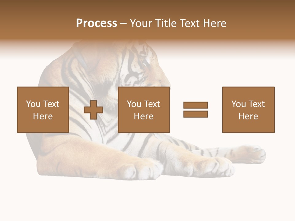 Color Siberian Wildlife PowerPoint Template