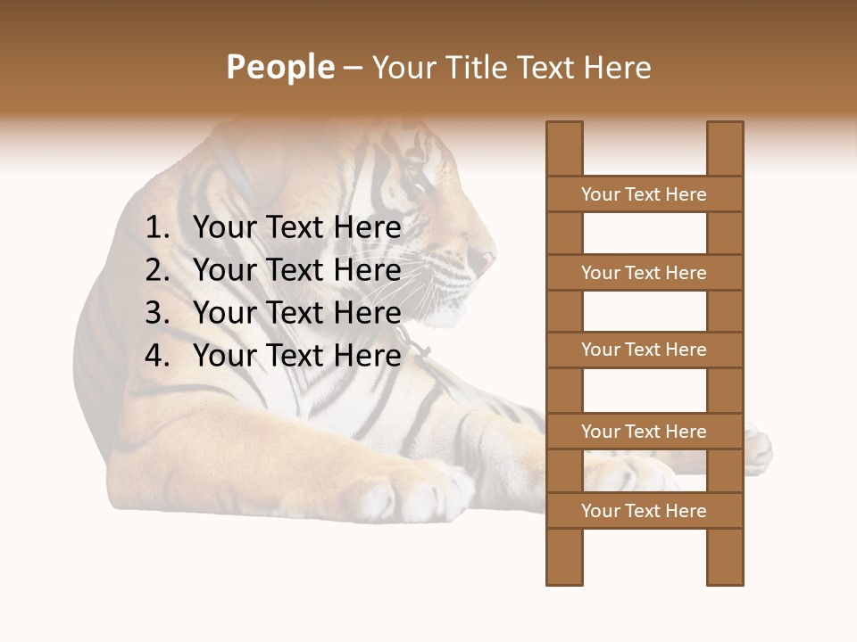 Color Siberian Wildlife PowerPoint Template