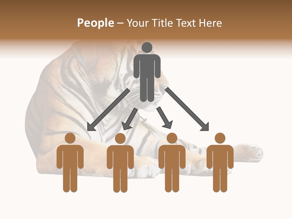 Color Siberian Wildlife PowerPoint Template