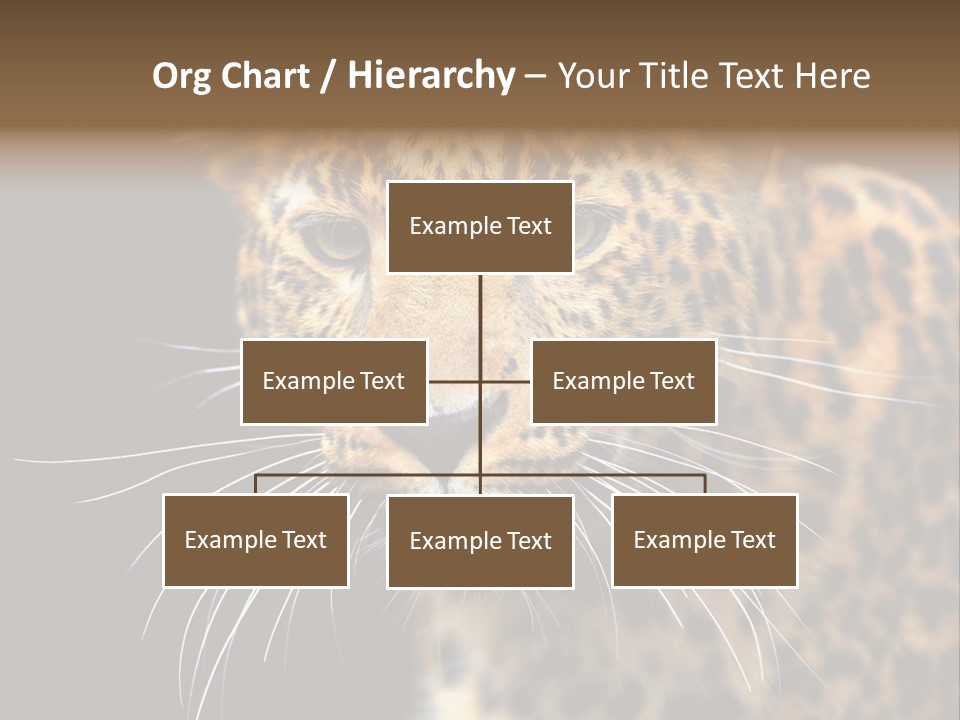 Wilderness Leopard Yellow PowerPoint Template