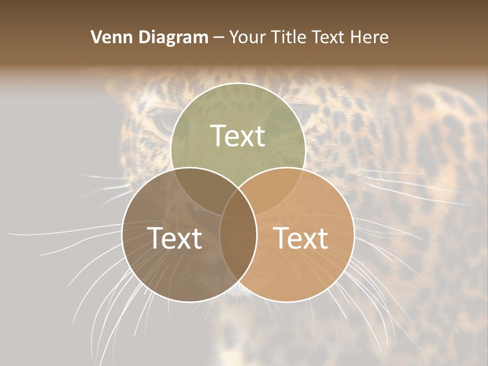 Wilderness Leopard Yellow PowerPoint Template