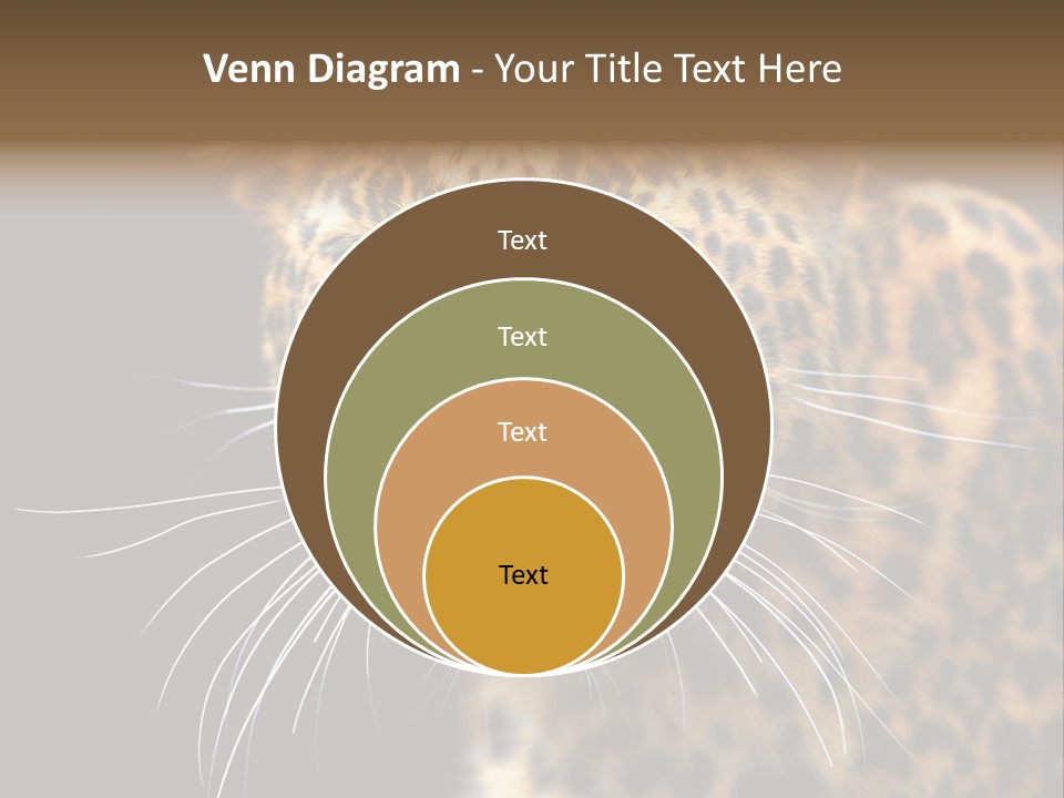 Wilderness Leopard Yellow PowerPoint Template