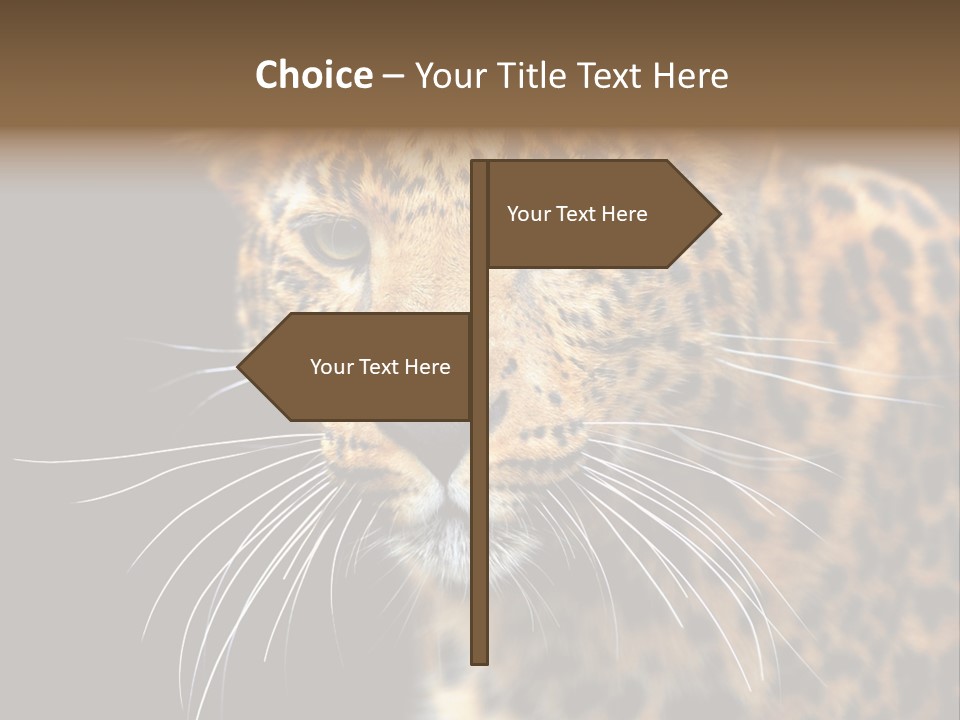 Wilderness Leopard Yellow PowerPoint Template