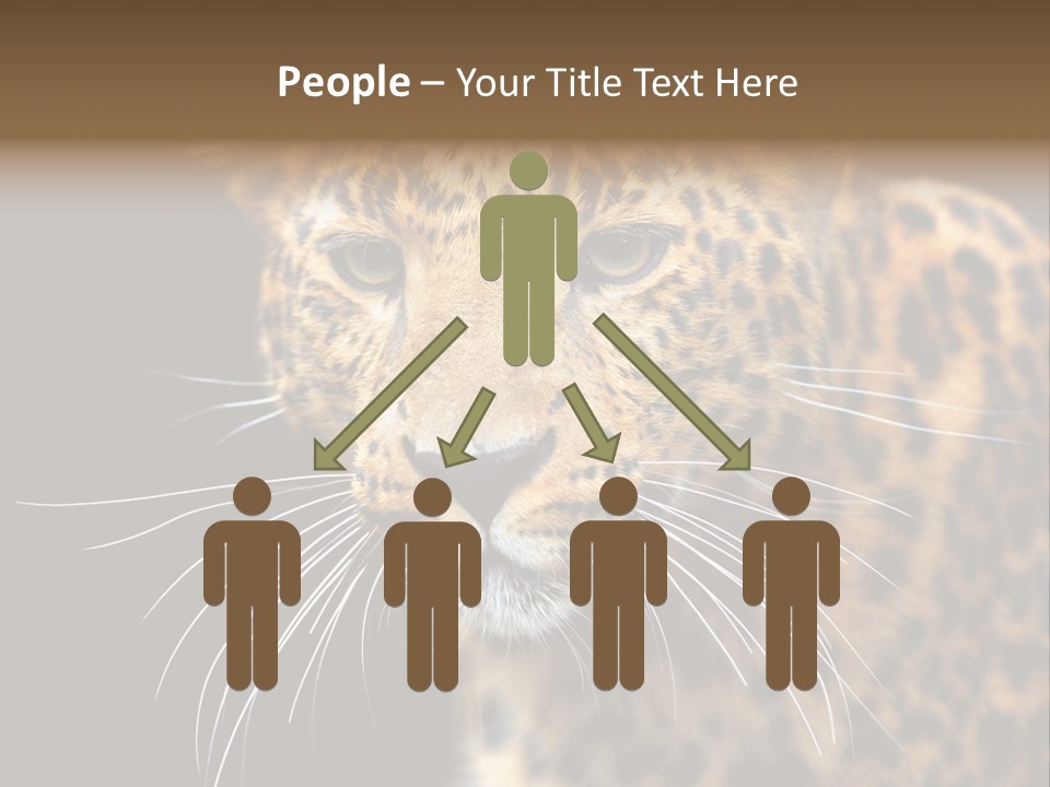 Wilderness Leopard Yellow PowerPoint Template