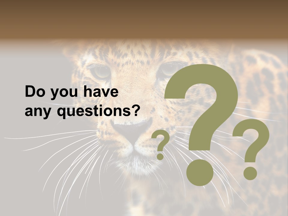 Wilderness Leopard Yellow PowerPoint Template
