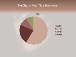 Skincare Pattern Beautiful PowerPoint Template